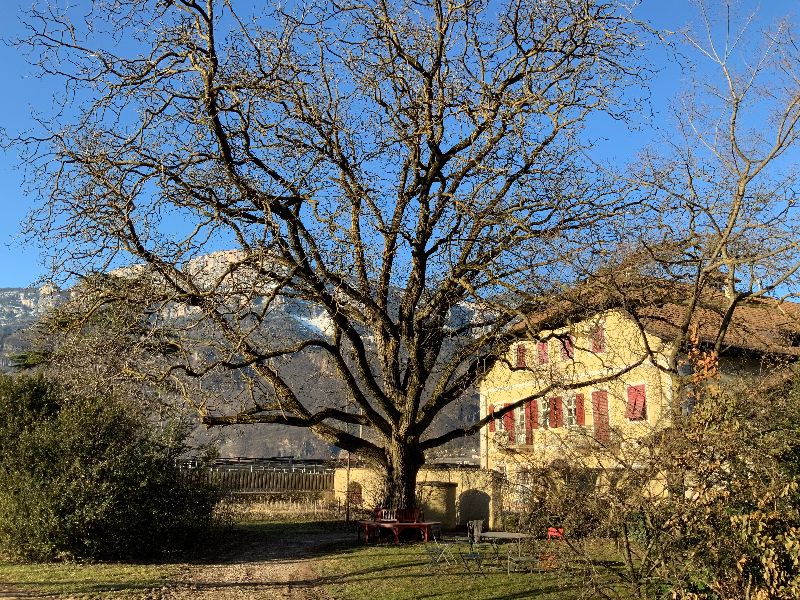 Ansitz Terlan — Geburtsort von Delama 1671